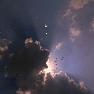 Meet your Posher, Jonas